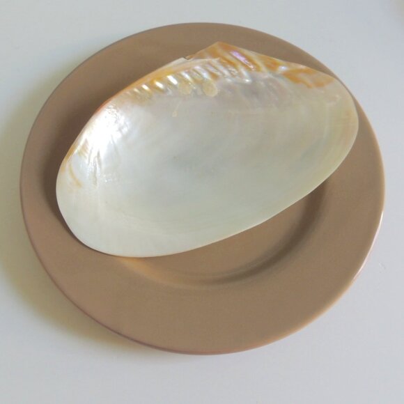 Set of (2) Large Oyster Shell Dishes - Picture 1 of 7